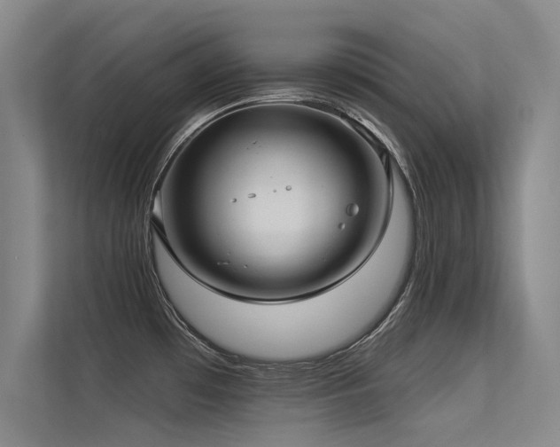 X0000113301481200909141237