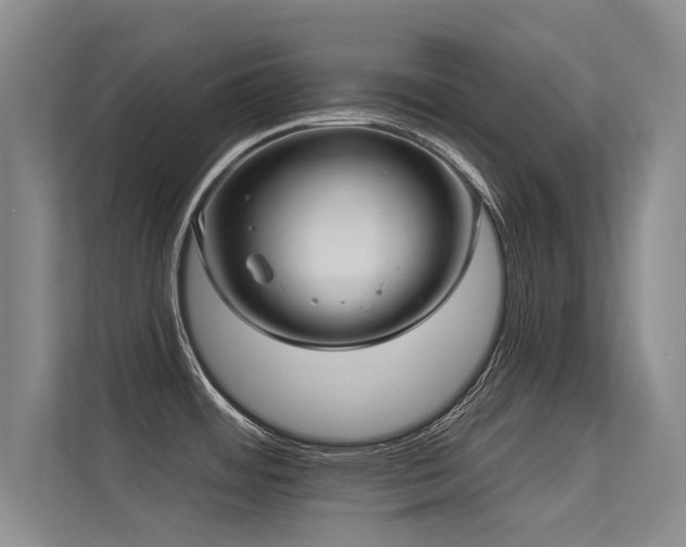 X0000113301484200909141237