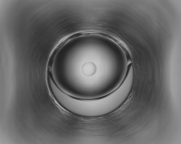 X0000113301485200909141237