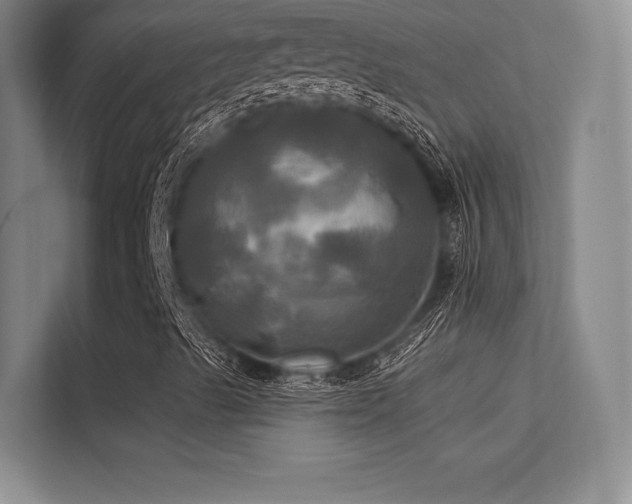 X0000113301489200909141236