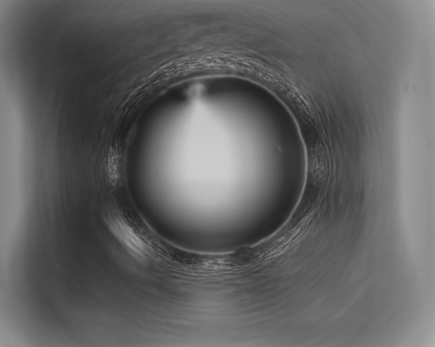 X0000113301490200909141236
