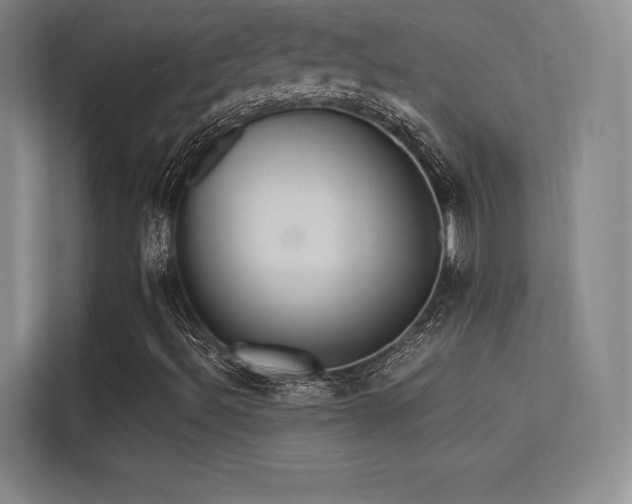 X0000113301492200909141236