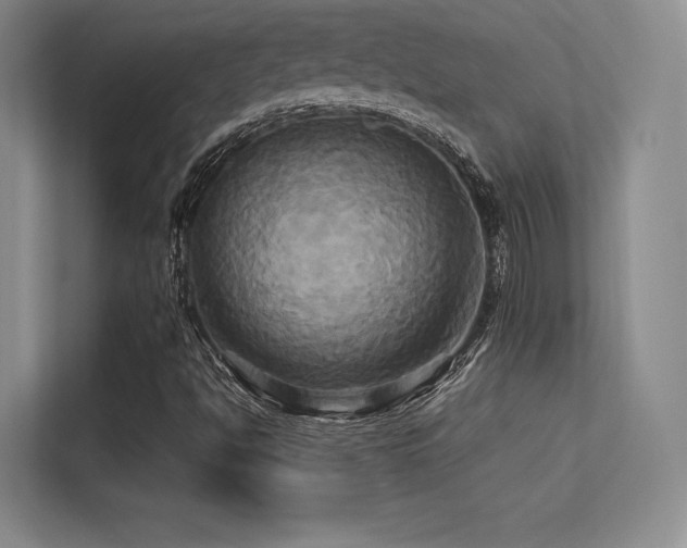X0000113301494200909141236