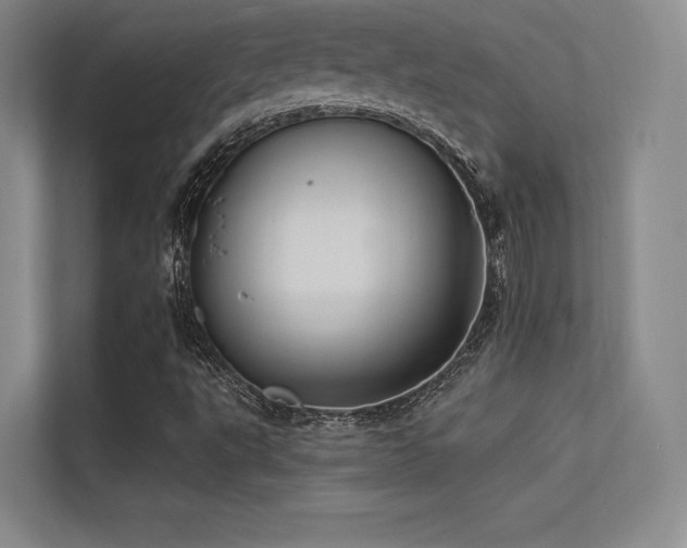 X0000113301495200909141236