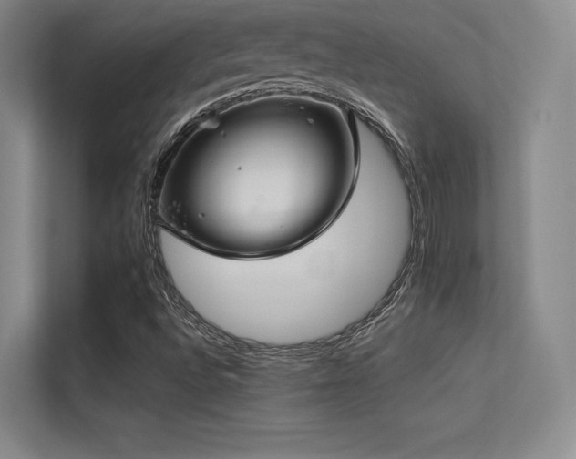 X0000113301496200909141236