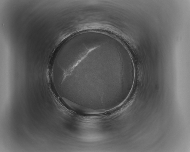 X0000113301497200909141236