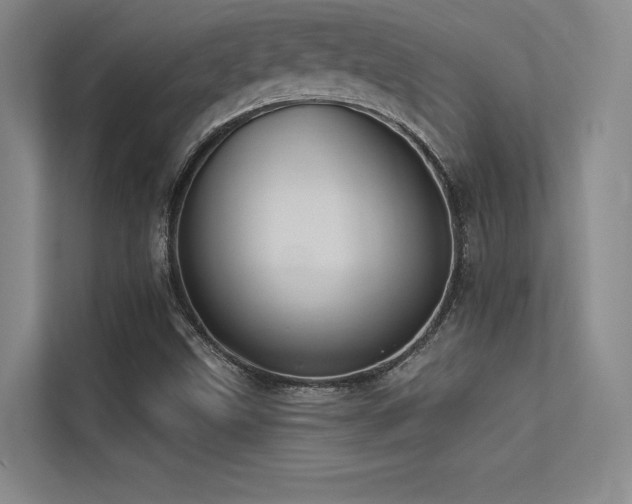 X0000113301499200909141236