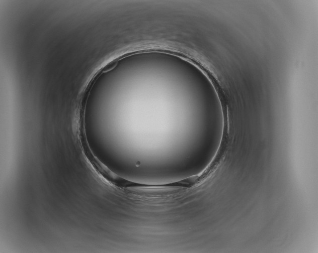 X0000113301500200909141236