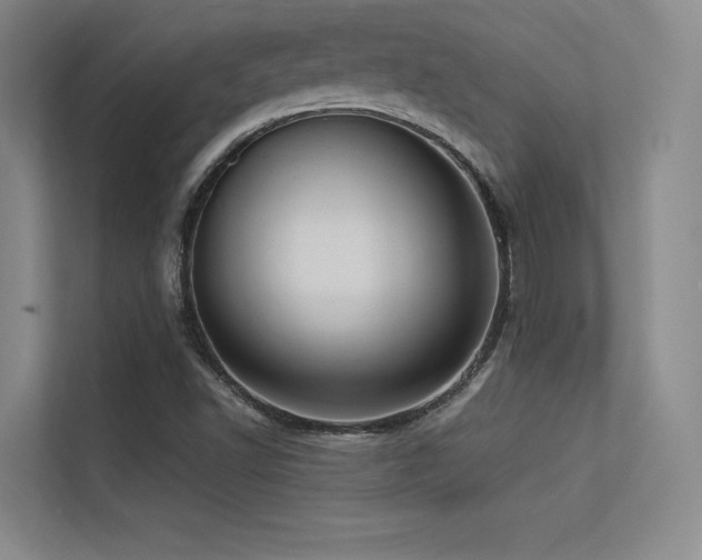 X0000113301502200909141236