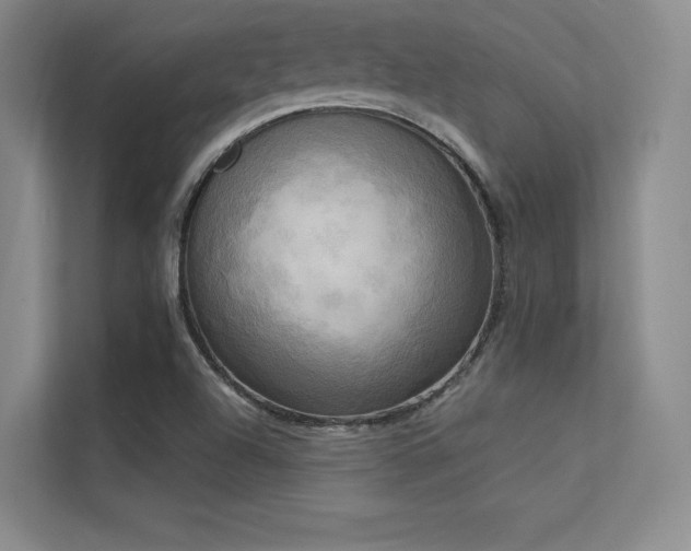 X0000113301504200909141236