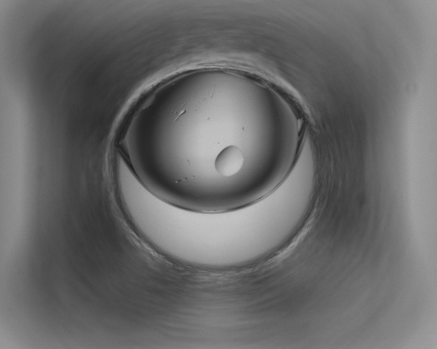 X0000113301506200909141236