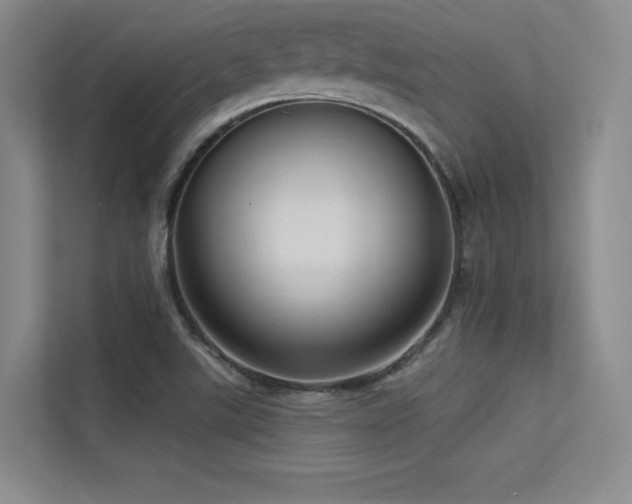 X0000113301507200909141236
