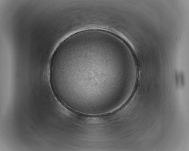 X0000113301508200909141236