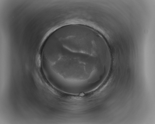 X0000113301509200909141236