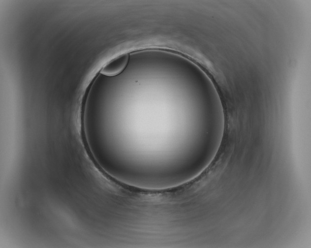 X0000113301512200909141236