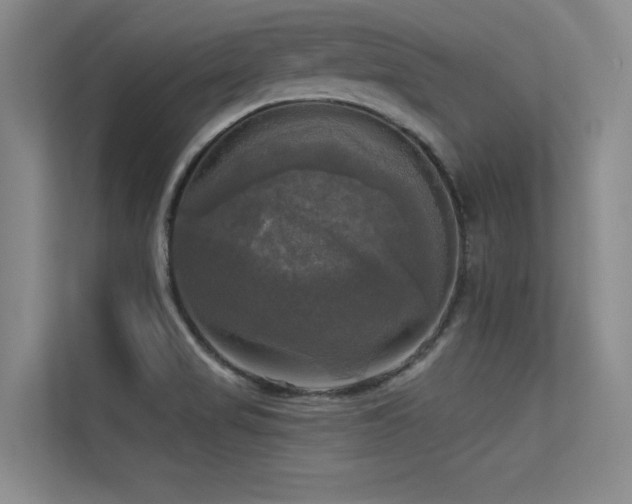 X0000113301517200909141236