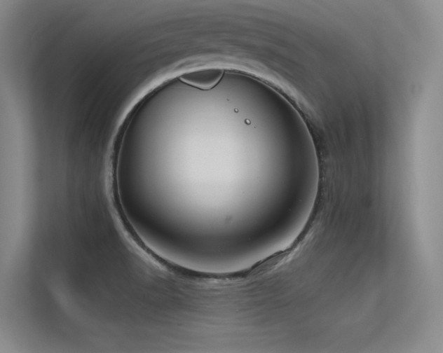 X0000113301518200909141236