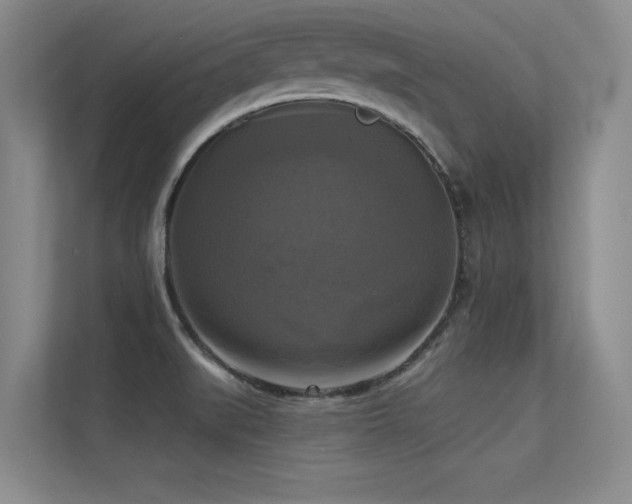 X0000113301519200909141236