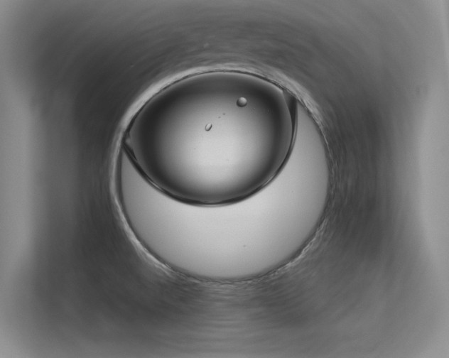 X0000113301520200909141236
