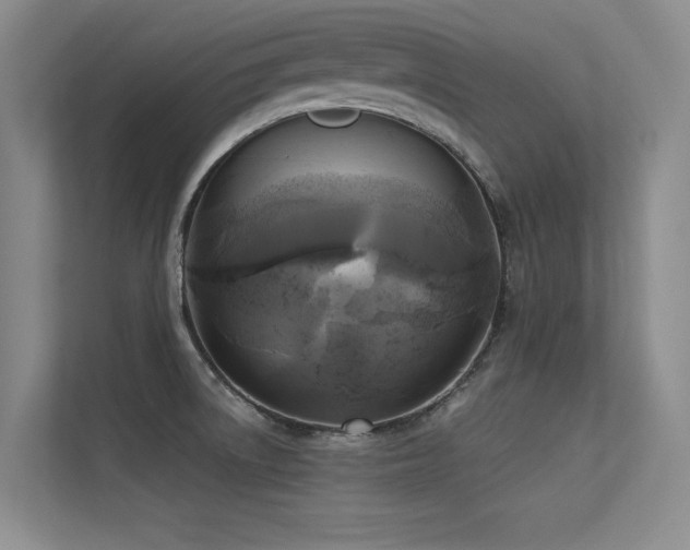 X0000113301522200909141236