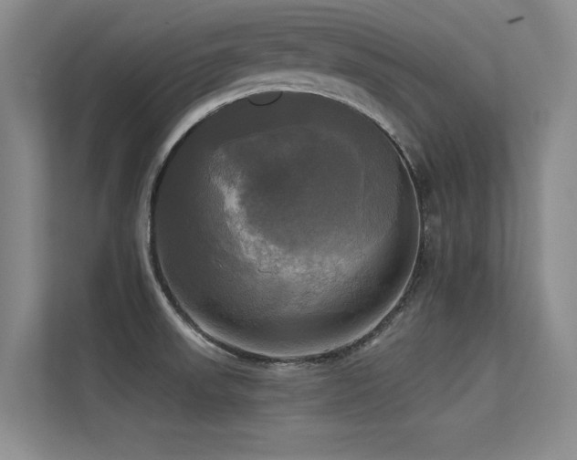 X0000113301523200909141236