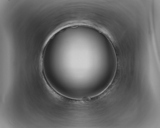 X0000113301524200909141236