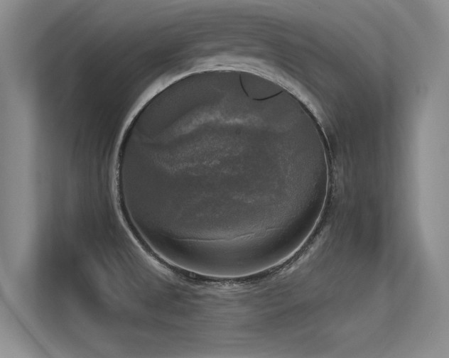 X0000113301525200909141236