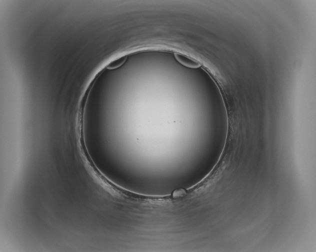 X0000113301526200909141236