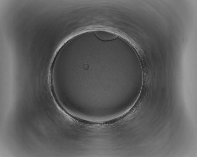 X0000113301527200909141236