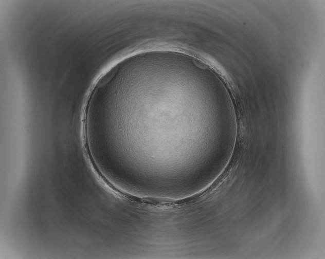 X0000113301528200909141236