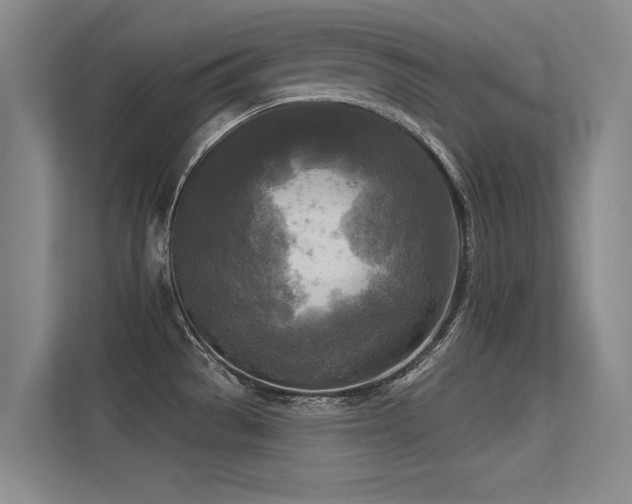 X0000113301529200909141236