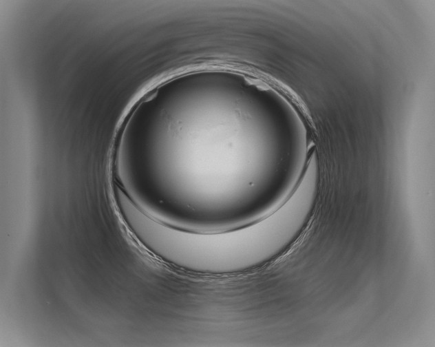 X0000113301530200909141236