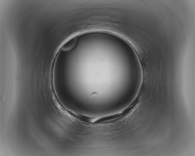 X0000113301534200909141237