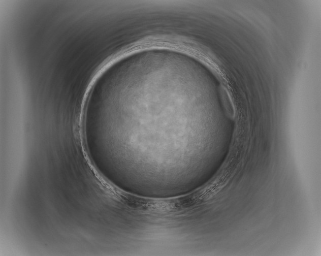 X0000113301536200909141237