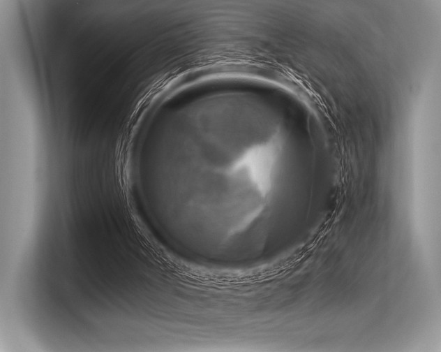 X0000113300002200909211131