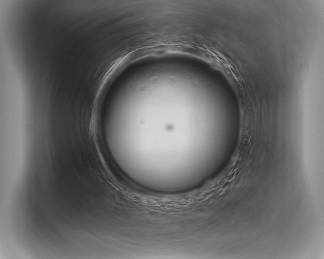 X0000113300003200909211131