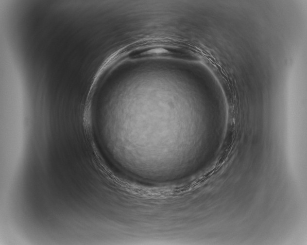 X0000113300004200909211131