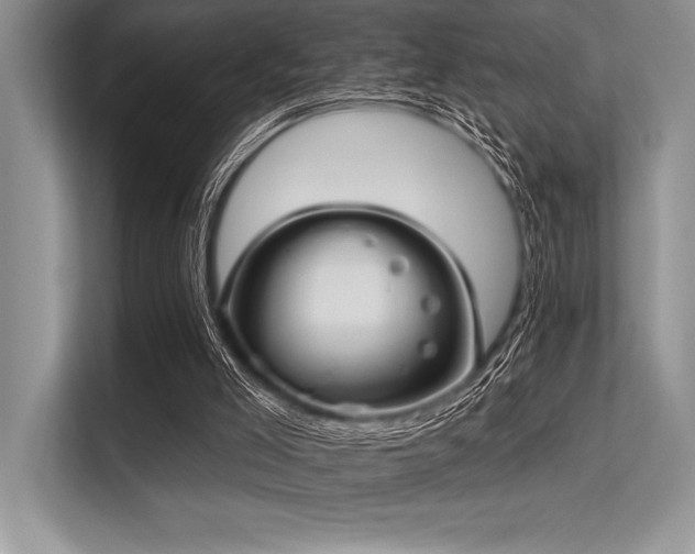 X0000113300005200909211131