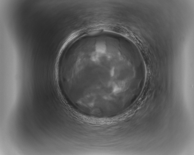 X0000113300006200909211131