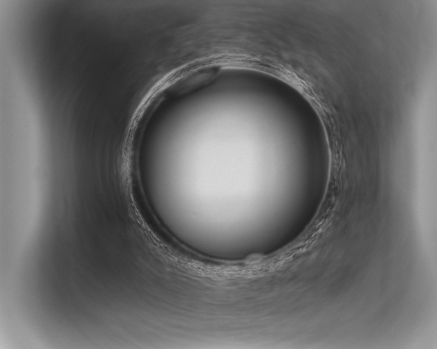 X0000113300007200909211131