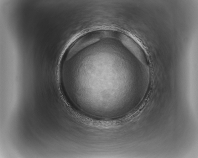 X0000113300008200909211131