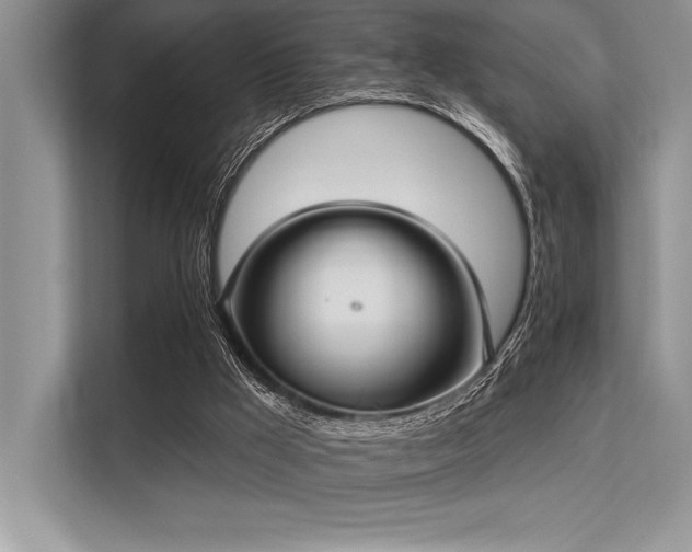 X0000113300009200909211131