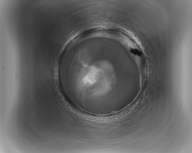 X0000113300010200909211131