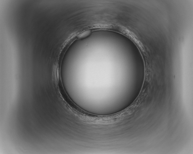 X0000113300011200909211131