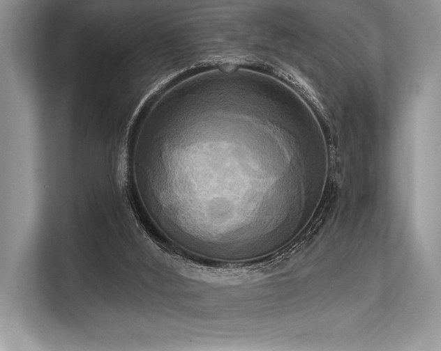 X0000113300012200909211131