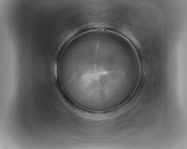 X0000113300014200909211130