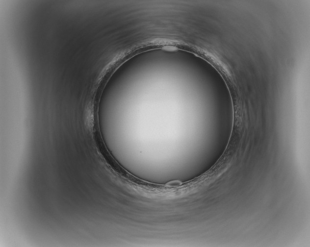 X0000113300015200909211130