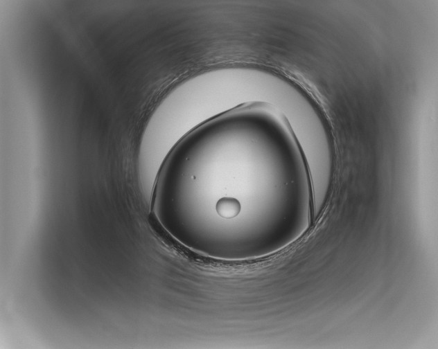 X0000113300017200909211130