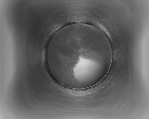 X0000113300018200909211130