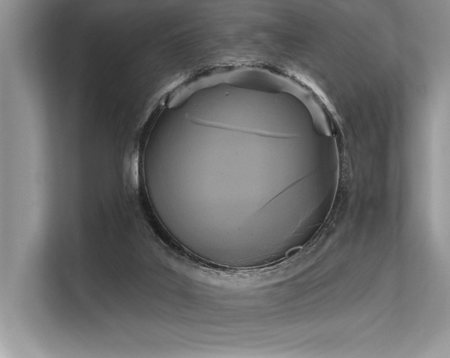 X0000113300019200909211130